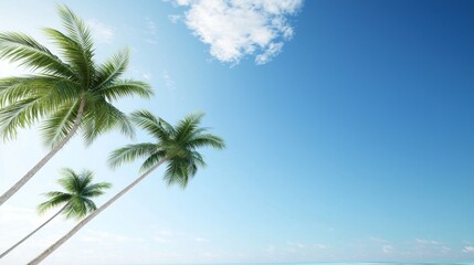 Obraz premium Tropical Beach Paradise