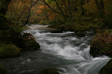秋の流れ落ちる滝