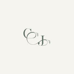 organic hairline logotype wedding concept monogram letter elegant and elegant logo JC