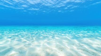 Serene Underwater Seascape