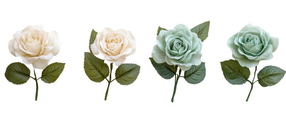 Beautiful roses in pastel colors arranged gracefully on a white background. transparent background