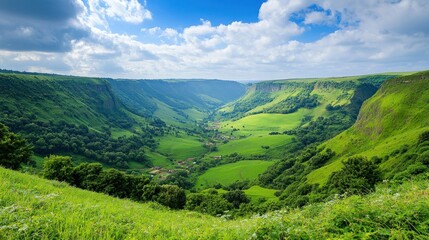 Serene Green Valley Landscape