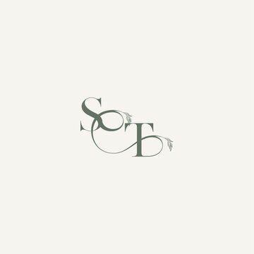 wedding concept monogram elegant and elegant logo TS organic hairline logotype letter