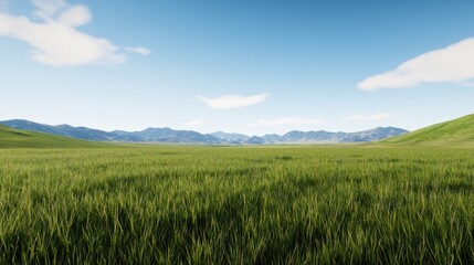 Obraz premium Serene Grassland Landscape