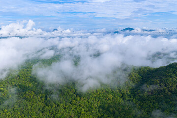 Beautiful mist over green forest on the mountain.