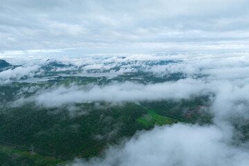 Beautiful mist over green forest on the mountain.