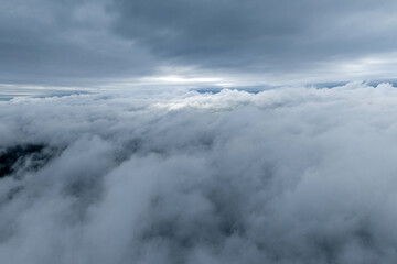 Obraz premium Beautiful mist over green forest on the mountain.
