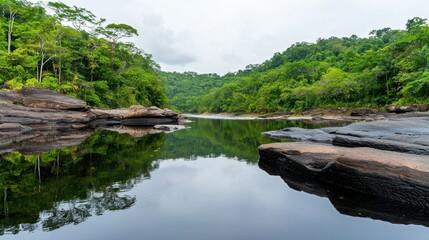 Obraz premium Tranquil Rainforest River