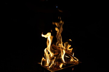 Dancing Flames Fiery Combustion of Firewood