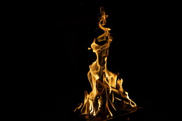 Dancing Flames Fiery Combustion of Firewood