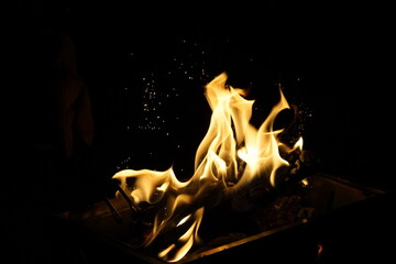 Dancing Flames Fiery Combustion of Firewood