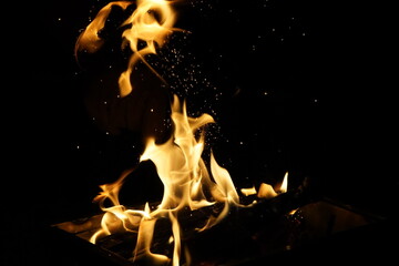 Dancing Flames Fiery Combustion of Firewood