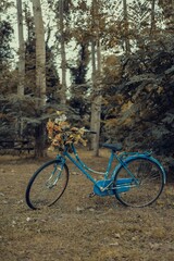 A bicycle in a forest