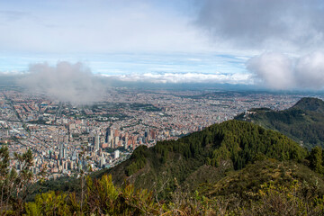 City skyline meets lush greenery at the city edge