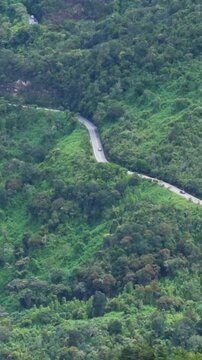 Vertical video of serene view of cars on winding road green forest