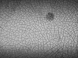 dry texture from aerial view