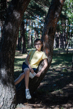 Nice boy resting on the tree