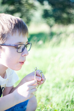 Blowing the dandelion in the forest