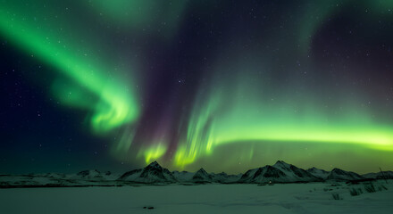 Naklejka premium Beneath the Aurora Borealis: A Captivating Celestial Spectacle 