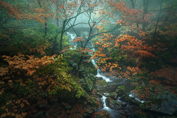 Rainy Jiri Mountain autumn forest waterfall and bridge
