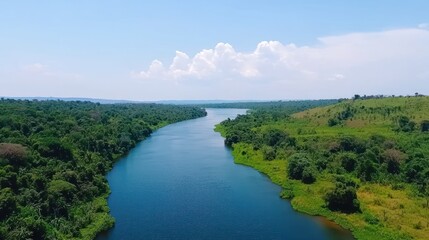 Naklejka premium Serene Tropical River