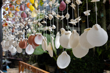 Mollusk shells strung on a string in a souvenir shop