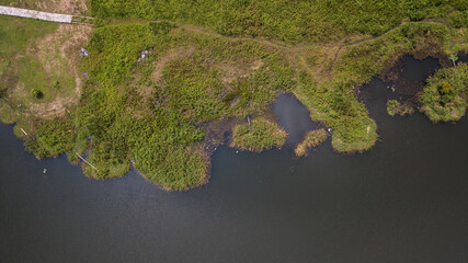 Aerial view of Bogor's Big Swamp, Indonesia