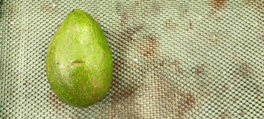 green avocados on supermarket shelves