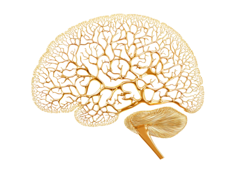 Isolated Golden 3D Brain Wireframe