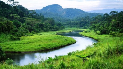 Serene Tropical River Landscape