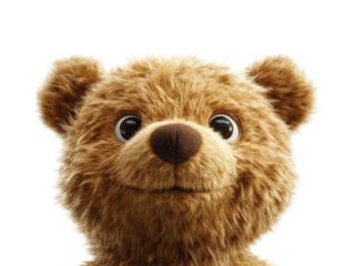 Isolated Smiling Teddy Bear Face