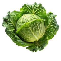 Obraz premium Large green cabbage with white veins. Isolated, on transparent background. PNG