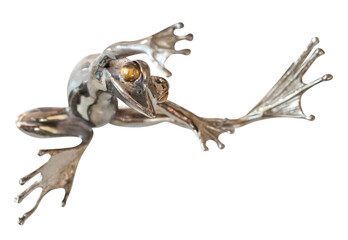 Top view of figurine of a frog Chrome Metal toy on white background, focus selective