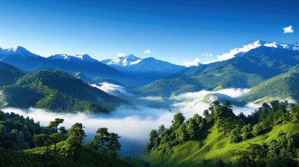 Misty Mountain Landscape