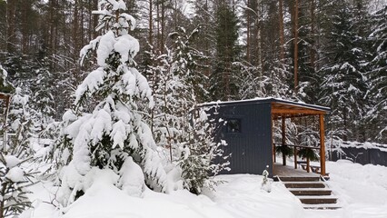 Snowy forest cabin with evergreen trees