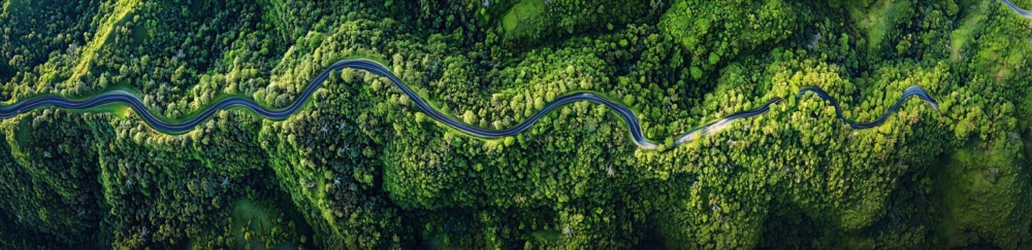River Winding Through Lush Forest: An aerial view captures a serpentine river elegantly weaving its way through a dense, vibrant green forest, creating a mesmerizing natural tapestry. 