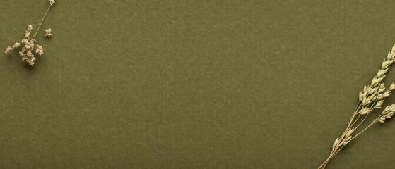 material Olive green paper texture background
