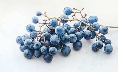 Fresh, ripe blue grapes on a white background.