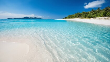 Serene Tropical Beach with Crystal-Clear Water