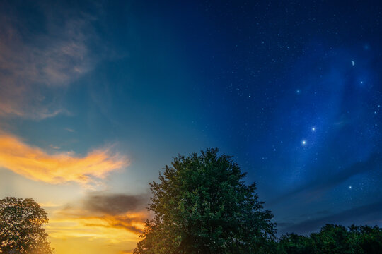 Sunset and twilight over tree lined background