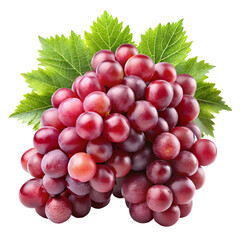 Fototapeta premium Red Grapes with Leaves: A luscious bunch of red grapes with vibrant green leaves, glistening with dew, ready to be savored for their sweet and juicy flavor.