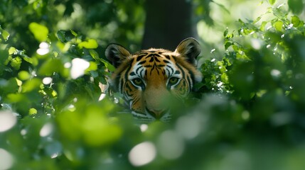 wildlife conservation, a tiger in a vibrant forest, representing conservation efforts for endangered species on world wildlife day
