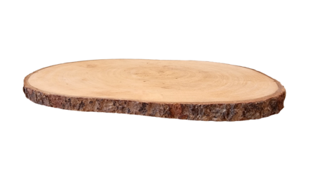 real wood stump platform podium in front view isolated on background with clipping path. minimal empty stage for display product, presentation scene. rustic wooden platter.