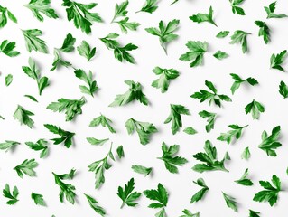 Fresh green parsley leaves scattered playfully across bright white background. AI Generated