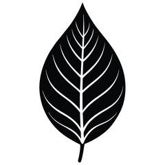 Charm Leaf Vector art Illustration Design for natural content