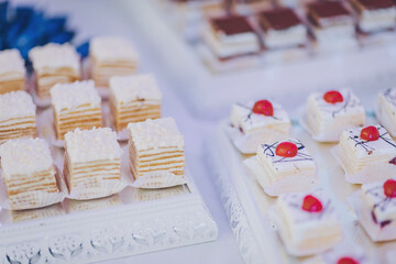 Buffet with a variety of delicious sweets, food ideas, celebration. Delicious sweets on wedding candy buffet with desserts