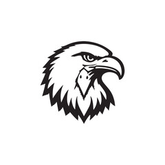 bald eagle illustration