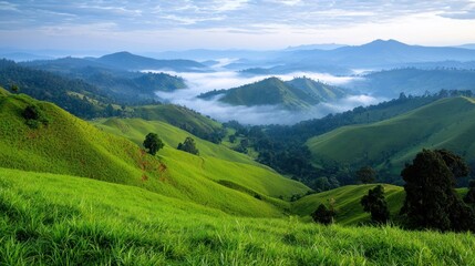 Fototapeta premium Misty Mountain Valley at Sunrise