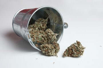 Dried cannabis buds spill out of an iron bucket onto a white surface. Isolate