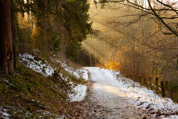 Warmer Sonnenstrahl im Winter auf einem mit Schnee bedeckten Waldweg